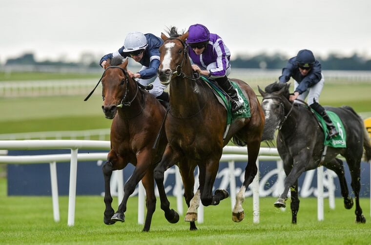 Betting a Trifecta Box: Increase Your Chances of Winning Horse Races