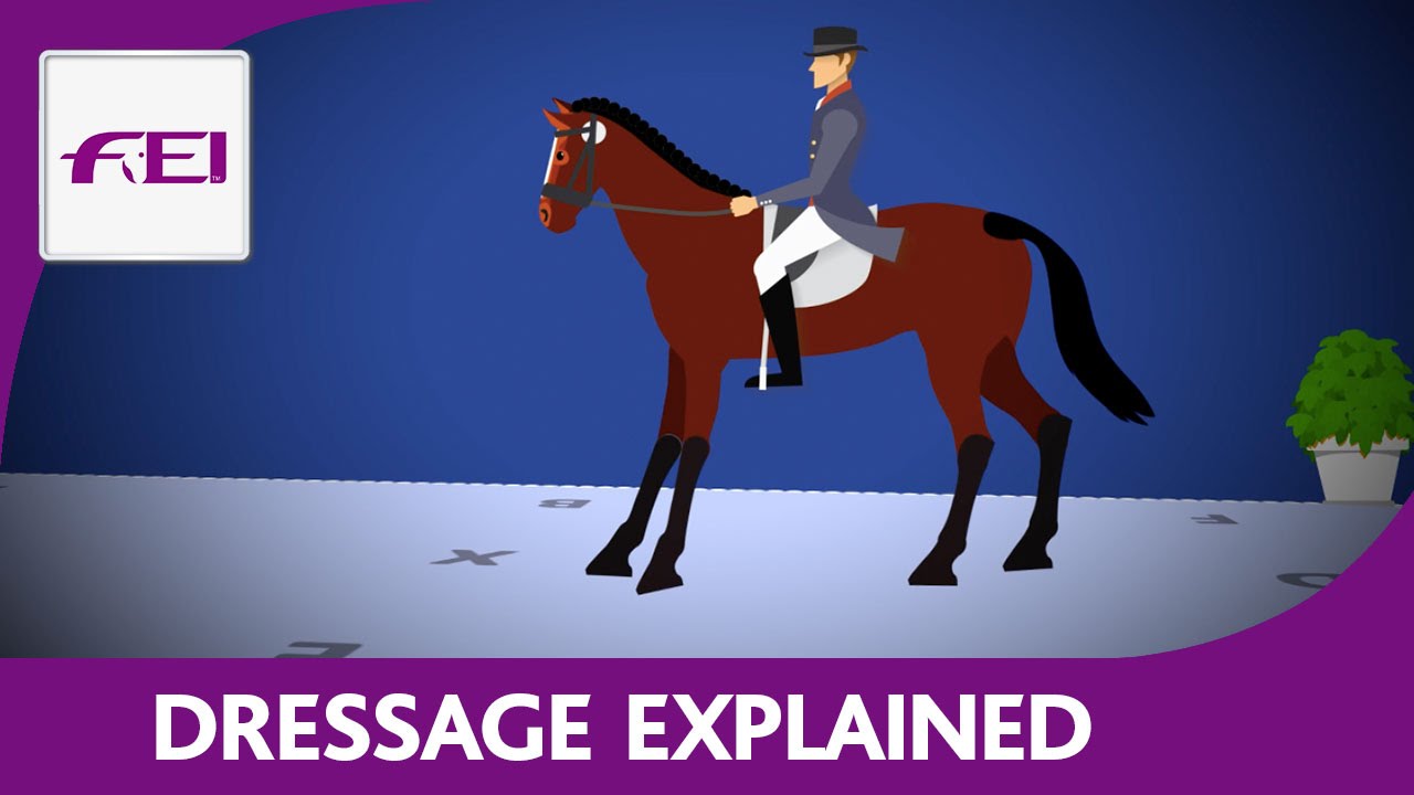 What is Caracole in horse riding, Dressage Movements Explained