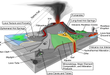 The Ultimate Guide to Understanding Pacheco IR.