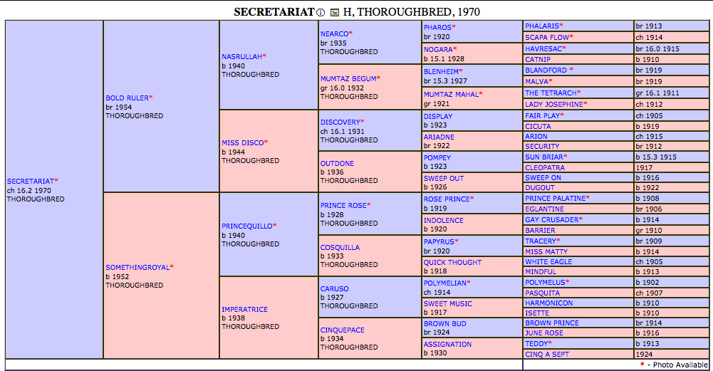 Secretariat Horse Pedigree: Check Out the Bloodline of a Champion!