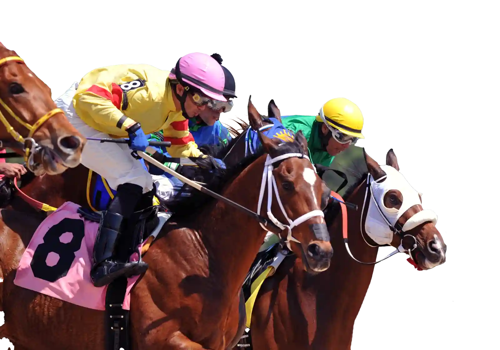 Tampa Bay Downs Race Entries & Results: Your Complete Guide.
