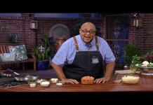 Get Your Grub On: Courtside Club Food Pelicans – See Whats Cooking for Fans!