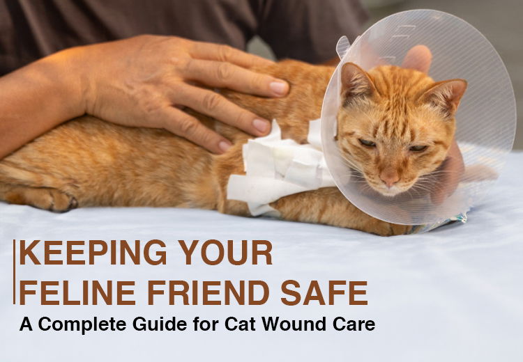 Dealing with a Kat Injury? Heres Your Recovery Guide.