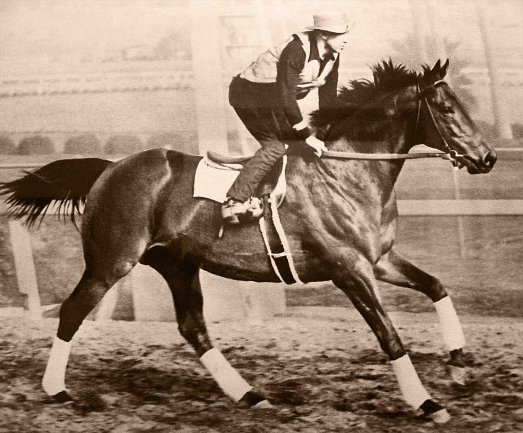 Seabiscuits Jockey: Who Was It? Learn About the Legendary Horses Rider!