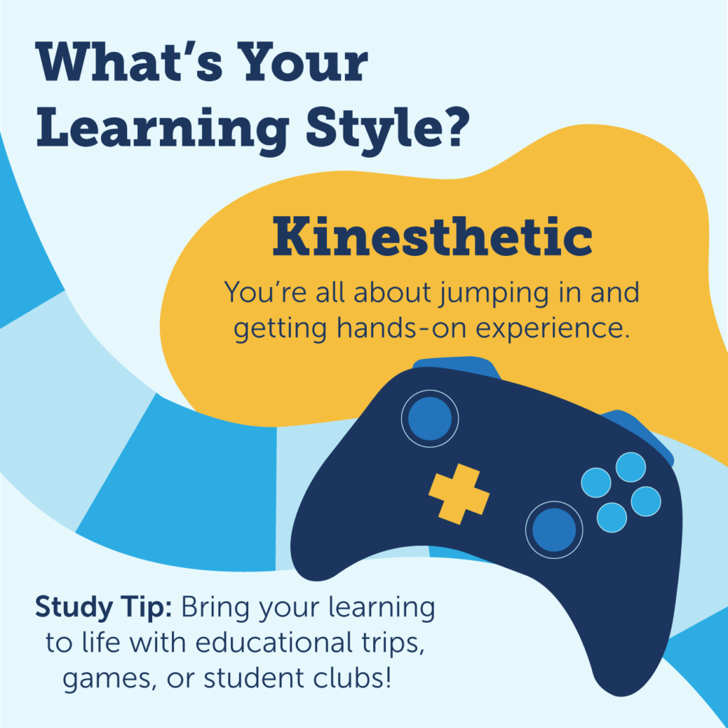 Nets School Guide: Is This The Right Learning Style for You?