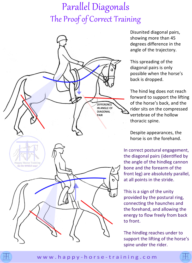 What is Caracole in horse riding, Dressage Movements Explained