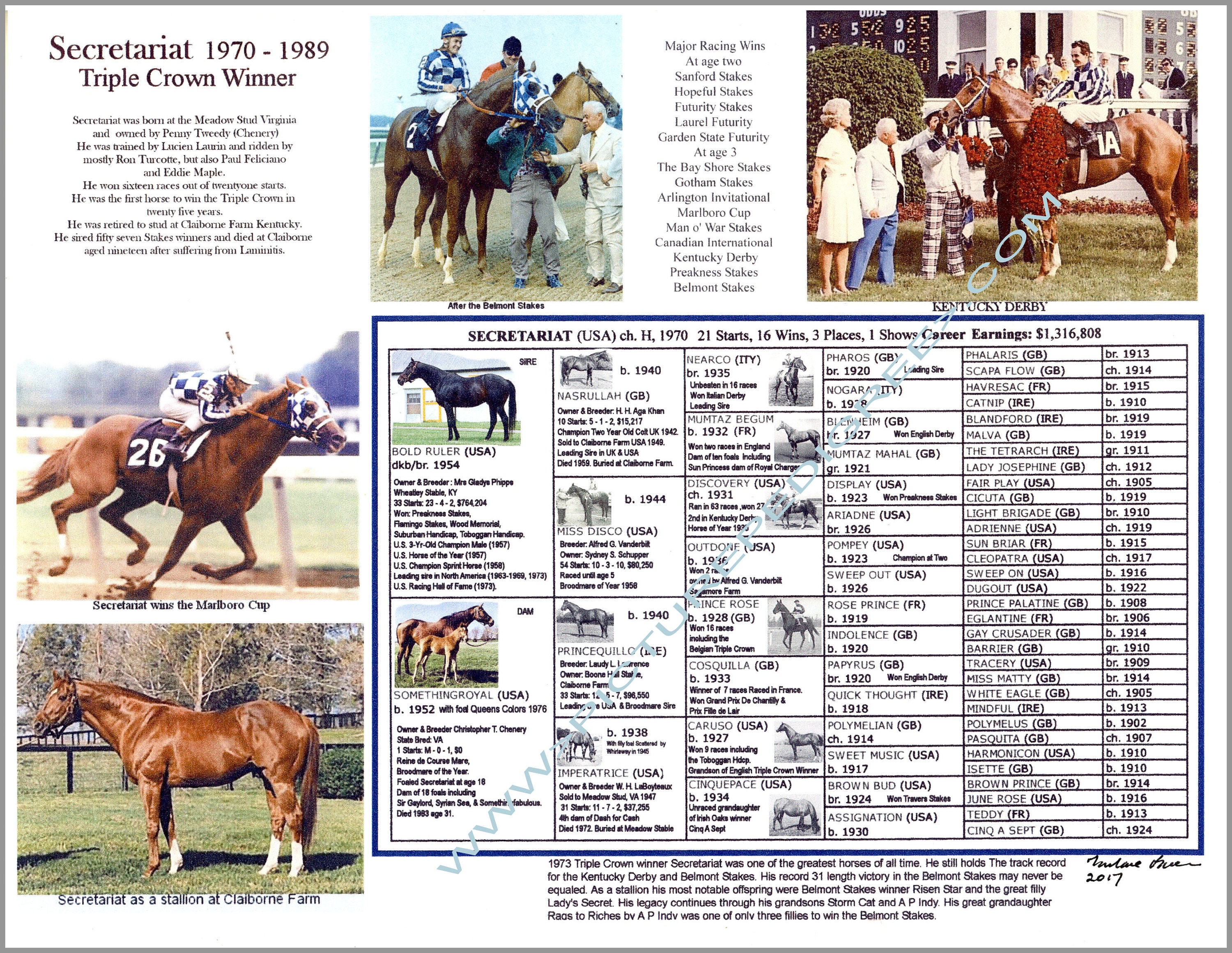 Secretariat Horse Pedigree: Check Out the Bloodline of a Champion!