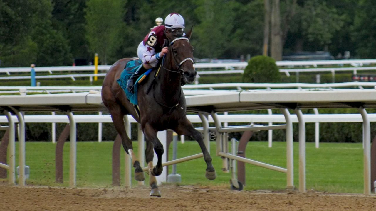 What channel is the Saratoga race on for Spectrum? Find it easy!