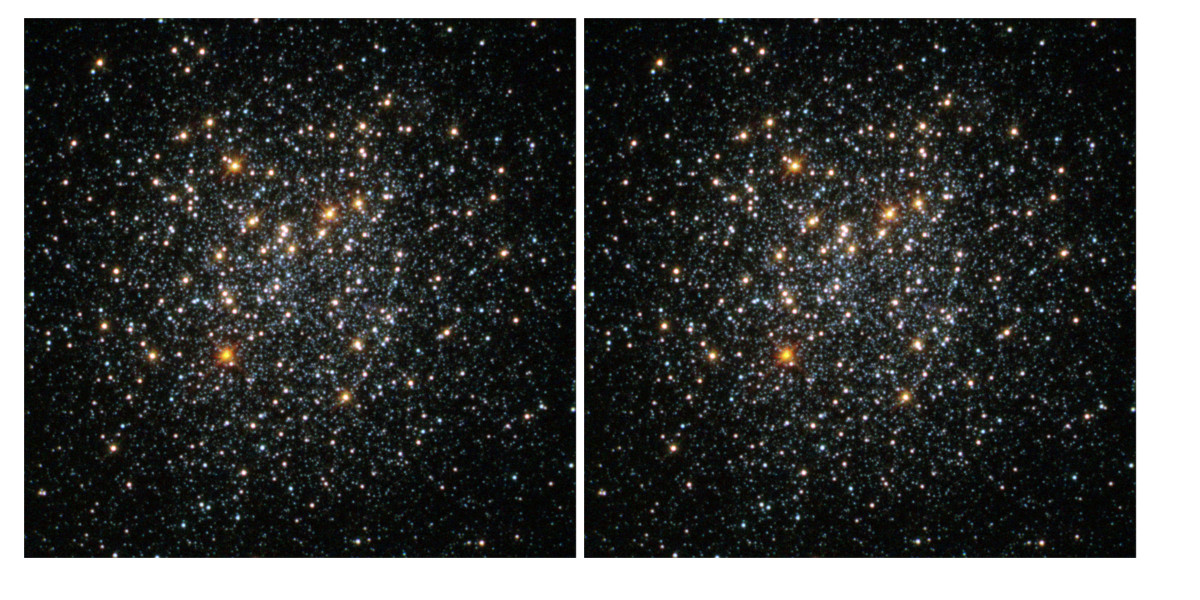 Stars and Rookies: Can You Spot the Difference? Learn How to Identify Them