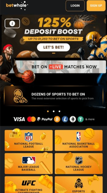 Sports Payouts Guide: How to Choose Sites with the Best Rates.