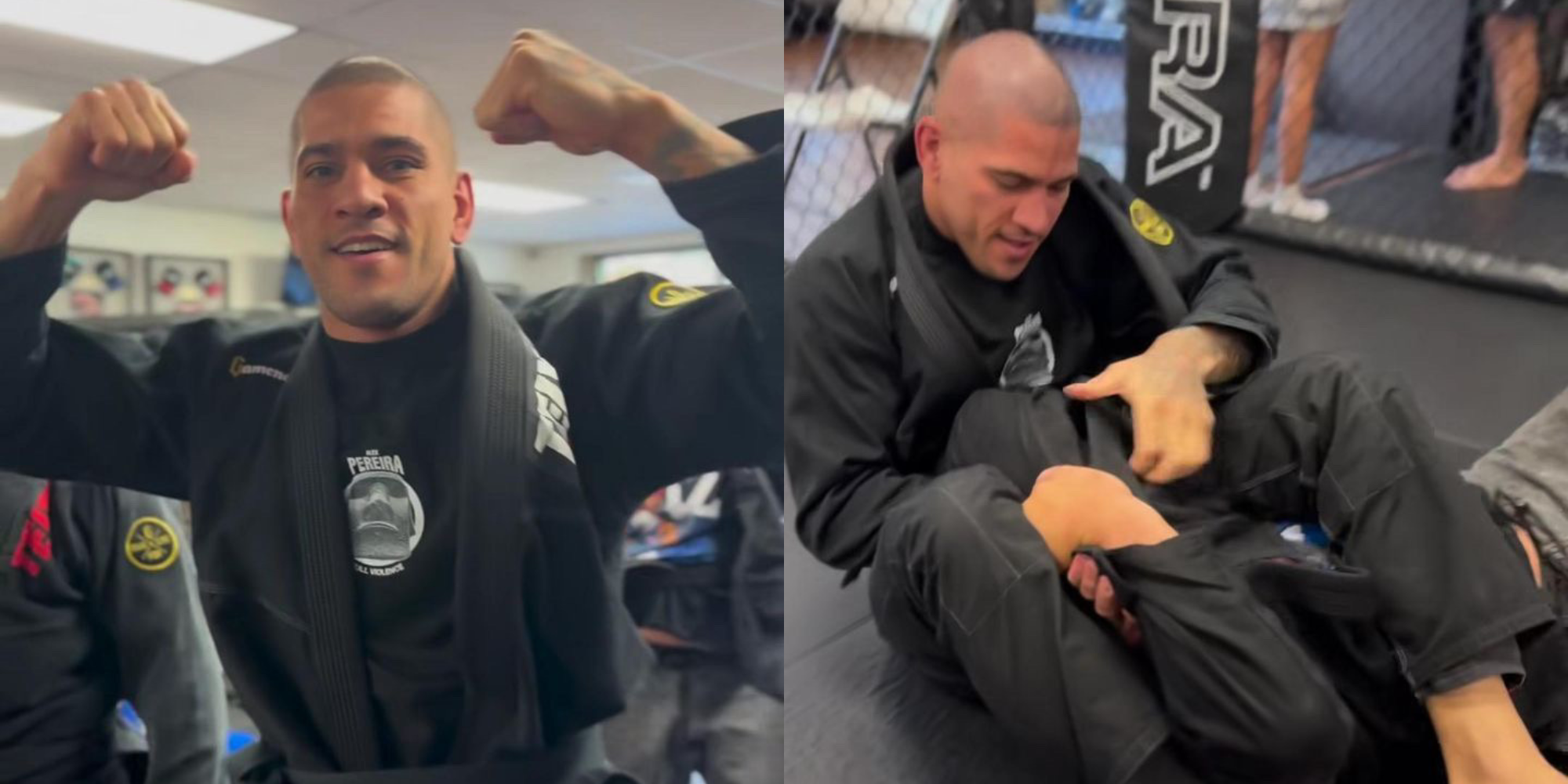Alex Pereira: From Striker to Jiu Jitsu? A Great Fighter!