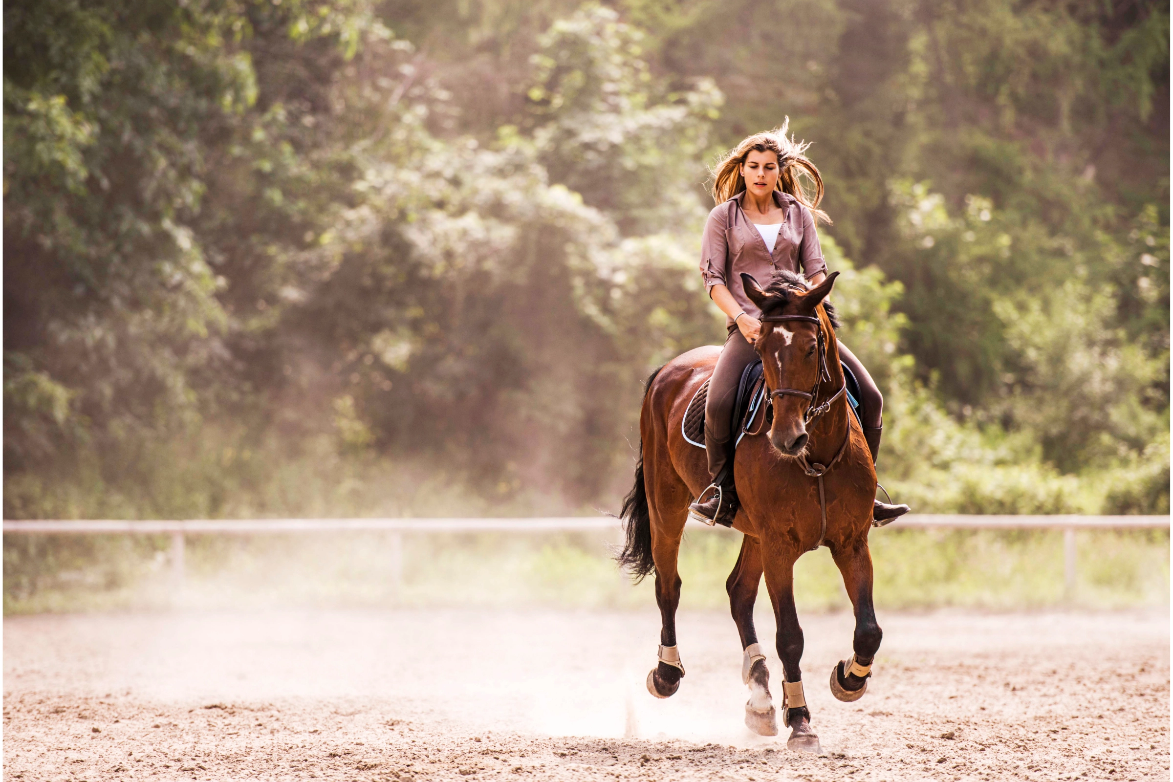 Horse and Ladies: Top Equestrian Tips for Female Riders