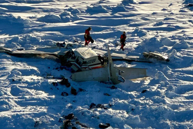 Alaska 439: The Latest Buzz and What You Should Know.
