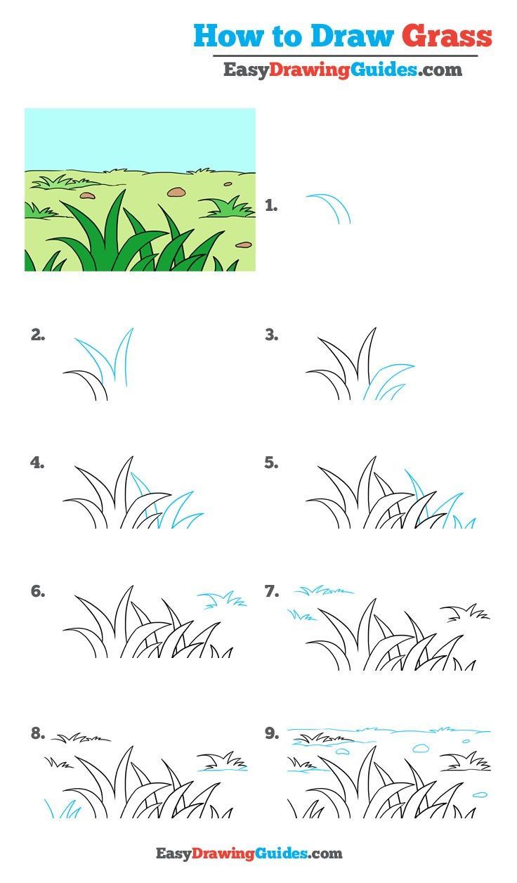 How to Draw Grass: Easy Step-by-Step Tutorial for Beginners (Simple Drawing Guide)