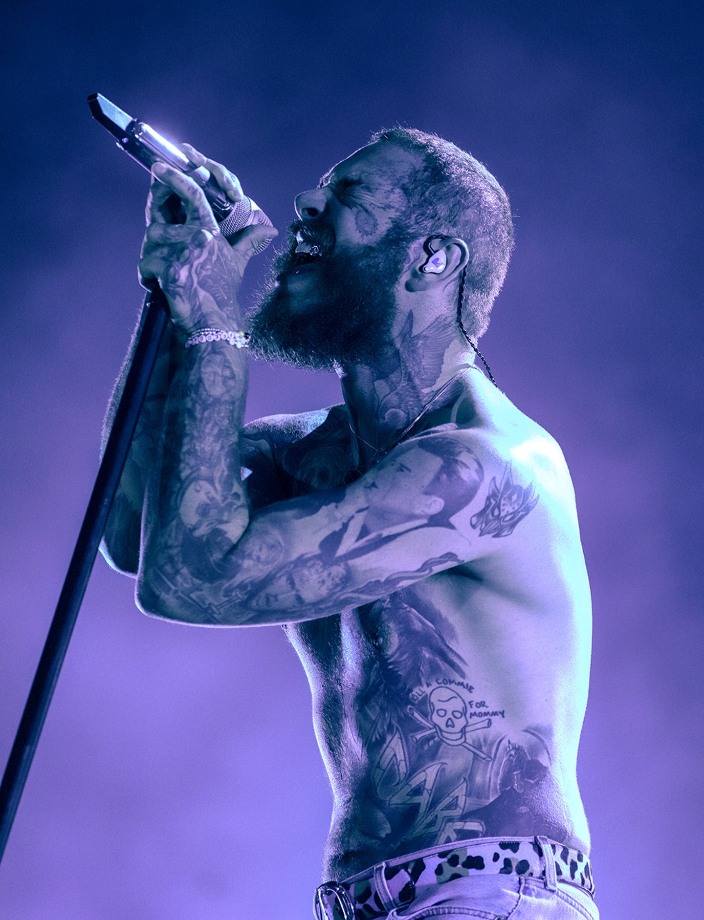 Post Malone Iowa Performance: What to Expect?