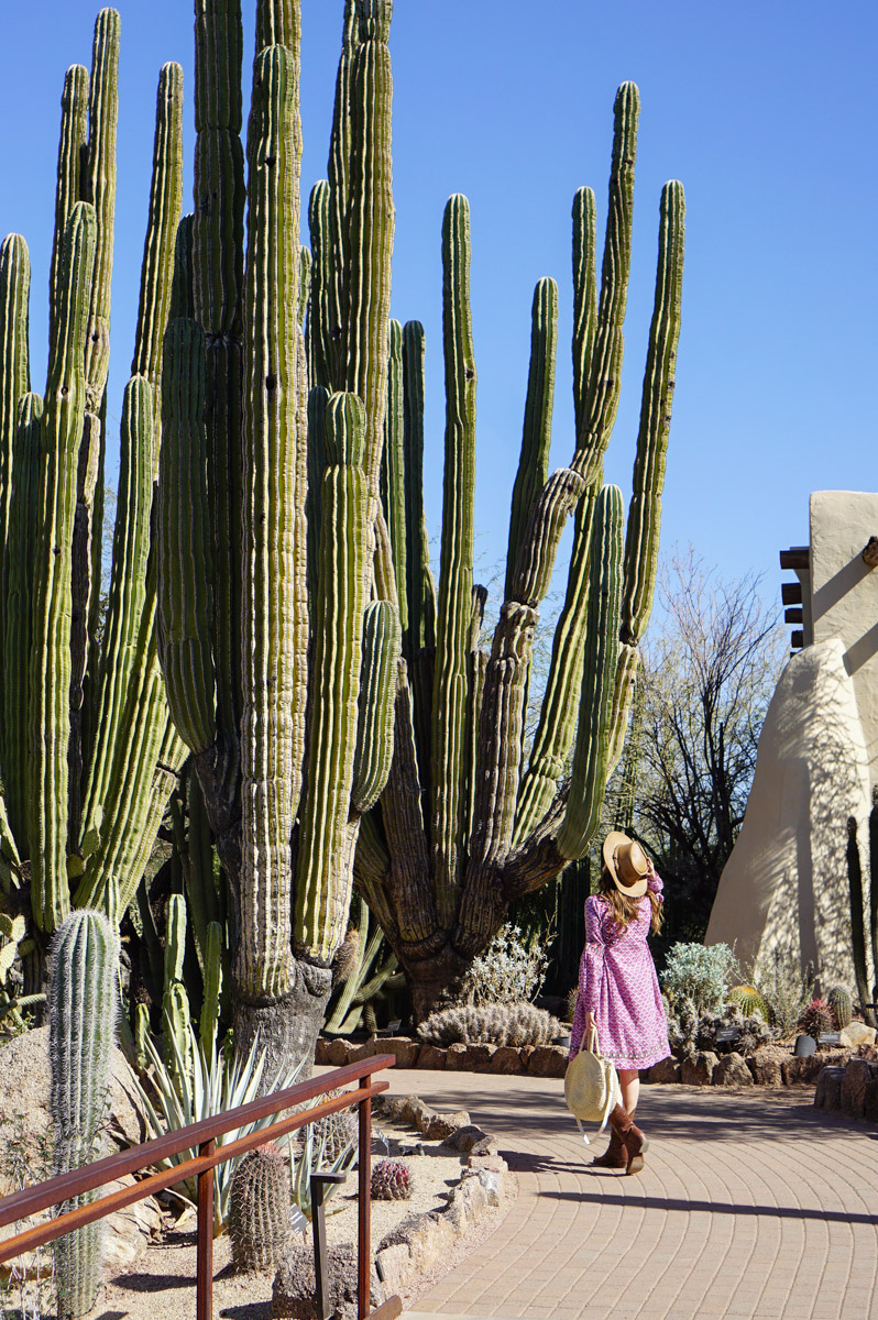 Explore Phoenix Sherbrooke: A Simple Guide, Plan a visit(See and Do)