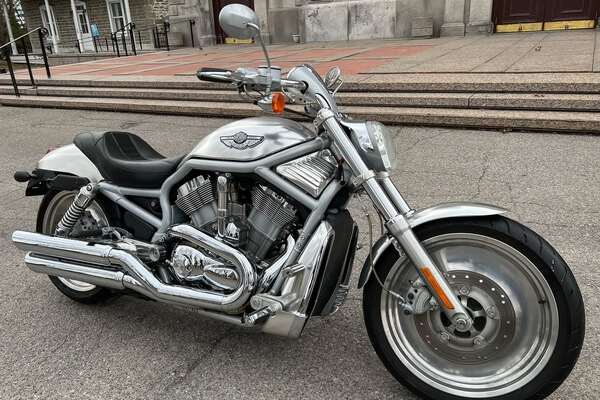 Harley Davidson V Rod 2003, The Ultimate Collectors Guide.