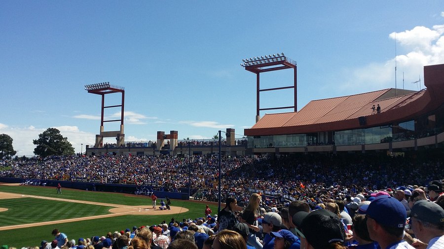 Best Things to Do at Cashman Field Las Vegas (Tips for a Great Time)