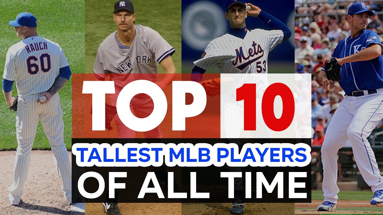 What heights did the tallest player in major league baseball reach? Learn more about these incredible stars.