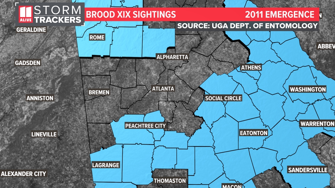 Where Are Cicadas in Georgia? Interactive Map Here! | Find Noisy Spots Near You easily