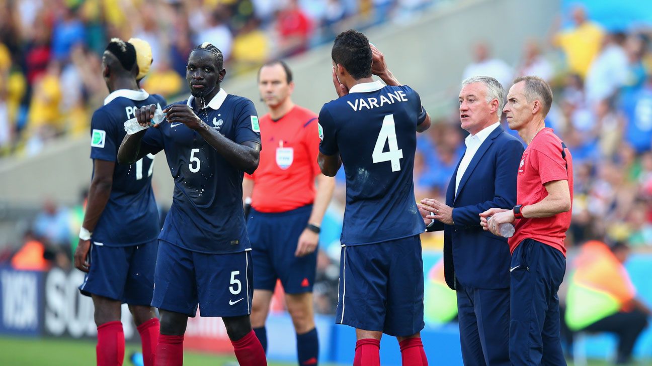 French World Cup Team 2014: What Happened to Them?