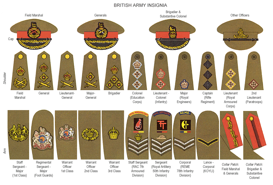 Ranks of the SAS: Understanding the Structure and Hierarchy!