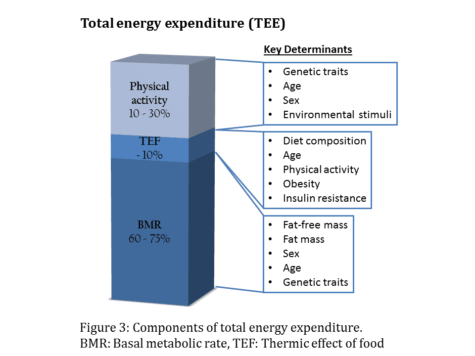 Indirect measurement of heat energy: what is it and how does it work?