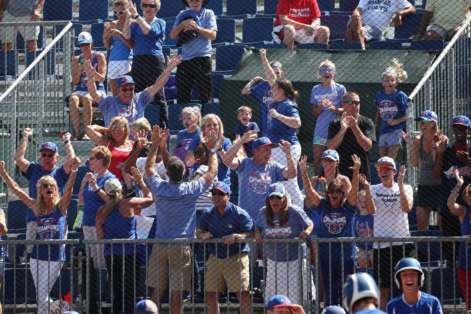 Baseball LG Fans: Everything You Need to Know.
