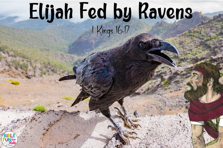 Elisha and the Ravens: Discover the Bible Story & Key Lessons