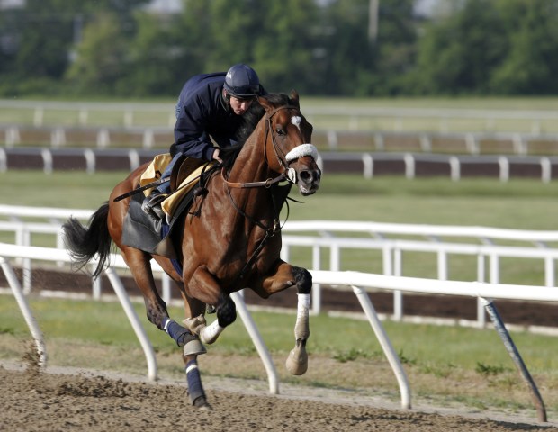 Barbaro the racehorse: Relive His Greatest Moments now