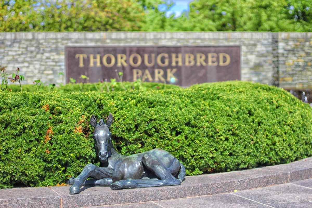 Explore Thoroughbred Park Lexington: What to See and Do on Your Visit!