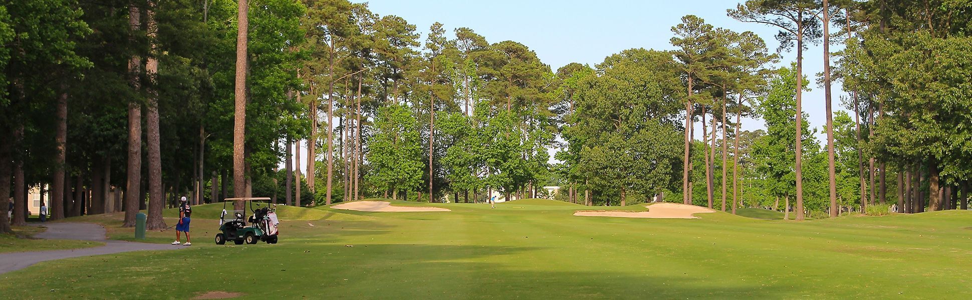Honey Bee Tee Times: How to Book & What to Expect
