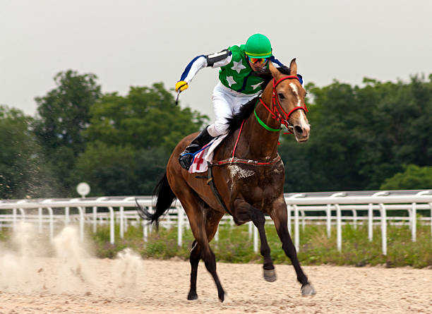 Where to Find a Great Jockey Pic for your best project?