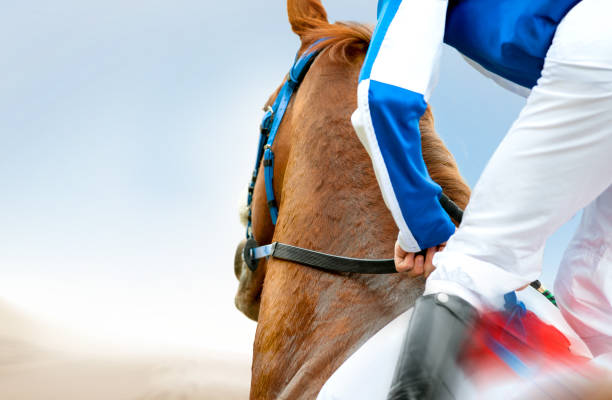 Where to Find a Great Jockey Pic for your best project?