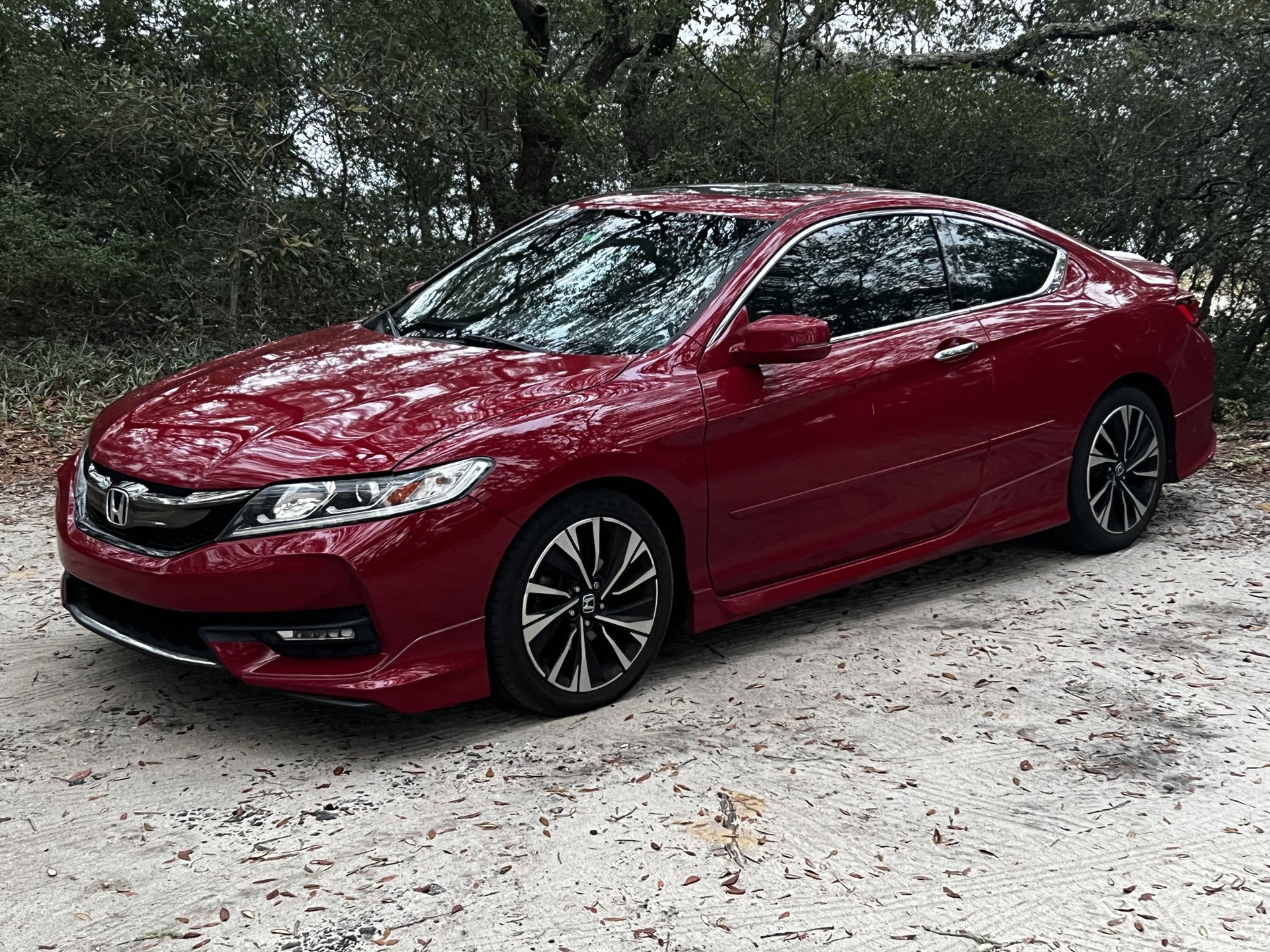 Want a 2016 Accord V6 Manual? Get The Best Price Here!