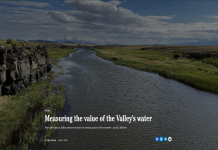 Is investing in red rebel extract truly worth the cost? Exploring the real effects and overall value for you.