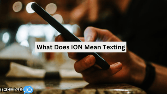 Help! What Does Ion Mean on Snap? Lets Clear It Up!