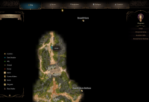 BG3 Risky Ring: Get it or skip it? A quick guide!