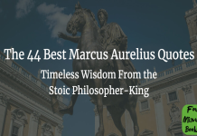 Where can I find reliable info on the marcus button? (Easy ways to locate the details you need)