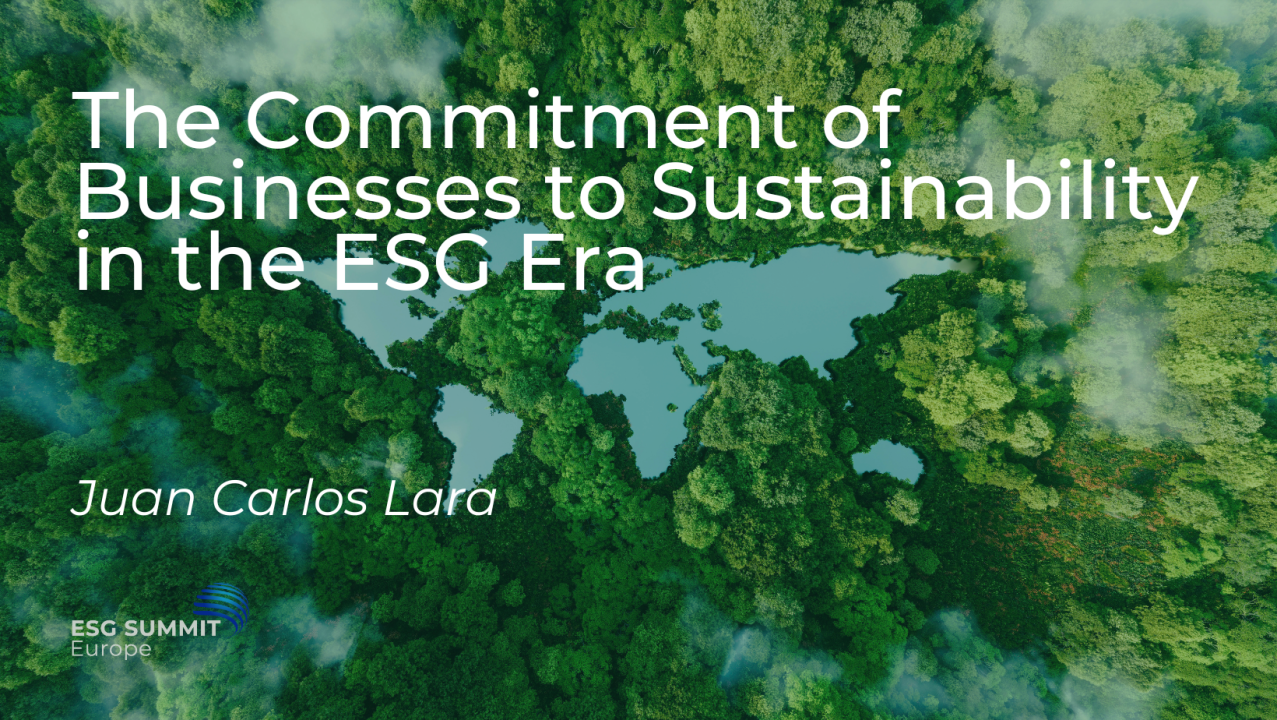 Carlos Laras strategy: How it changes the business success