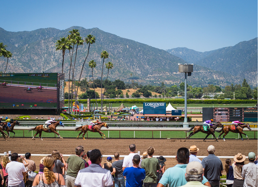 Digging into the Santa Anita history? Learn about its origins and the most famous champion horses.