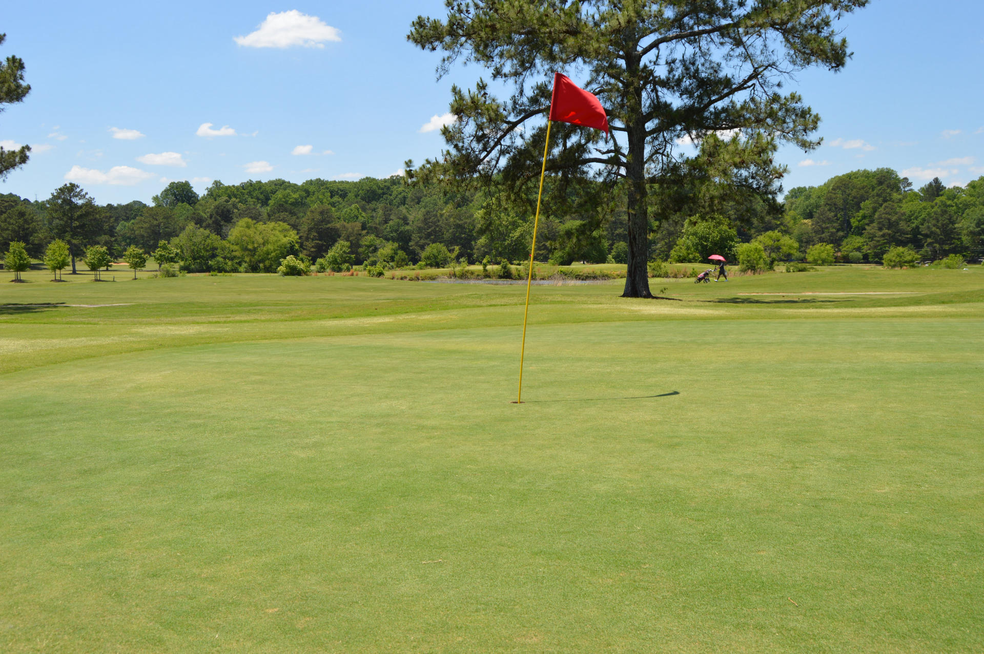 Easy Browns Mill Tee Times Booking (Find Your Perfect Golf Slot Now)