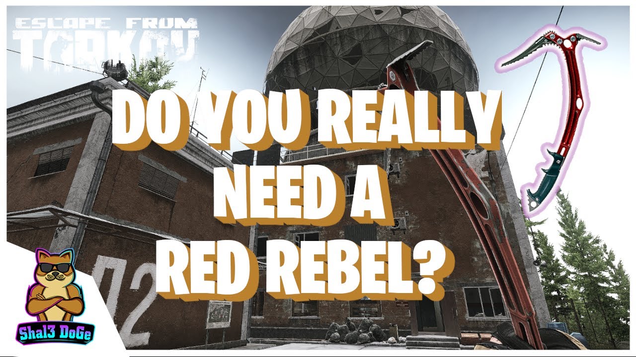 Is investing in red rebel extract truly worth the cost? Exploring the real effects and overall value for you.