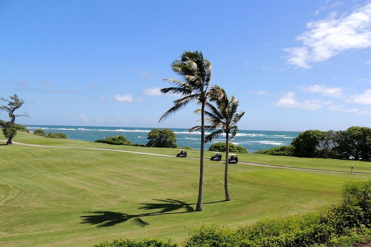 Waiehu Golf Course: A Locals Guide and Review