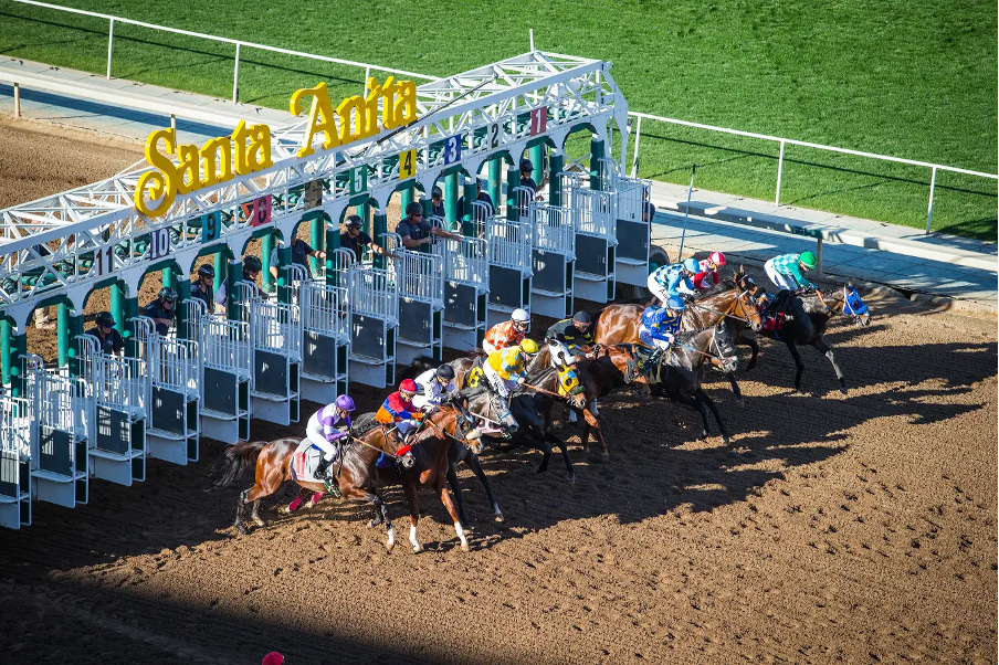Digging into the Santa Anita history? Learn about its origins and the most famous champion horses.