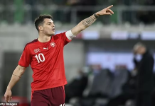 How did Yuri Zhirkov Russias star player perform? Discover his best moments and why fans admire him.