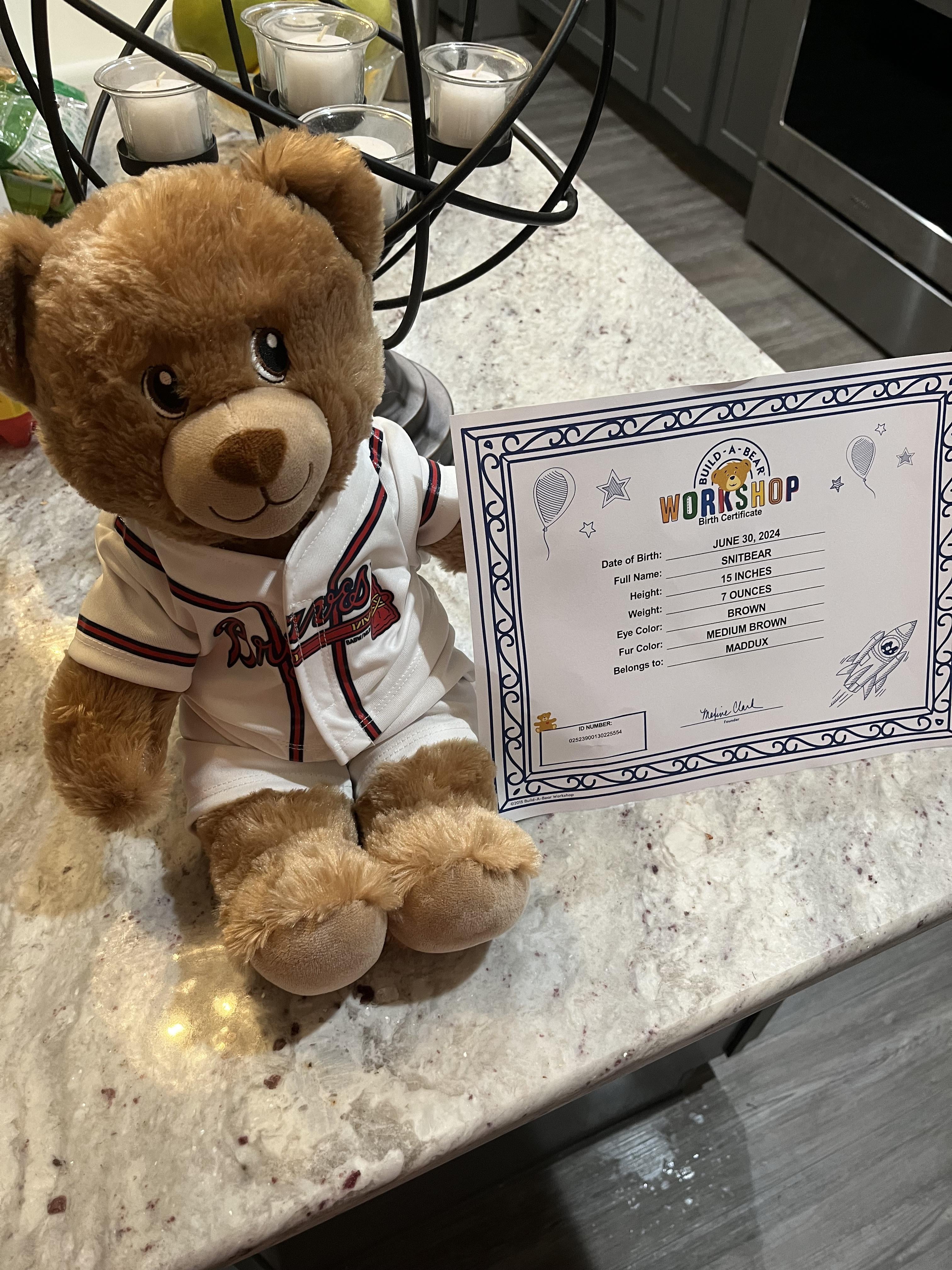Is the snit bear worth the hype? (Read honest reviews before you decide to get a snit bear for yourself)