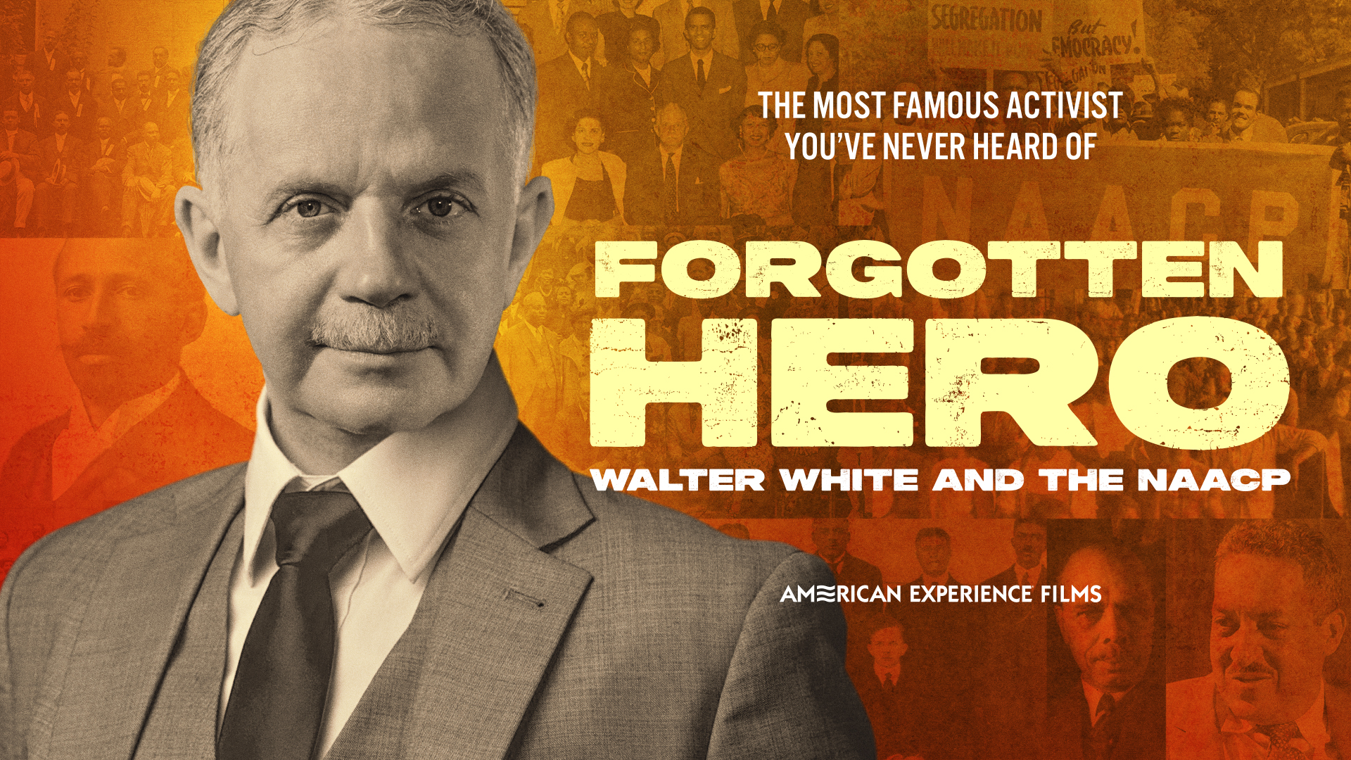 What does Walterio Rodriguez do? Learn about his profession and his most notable projects.