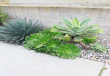 Where can you effectively use general stones? Explore top uses in building and creative garden design ideas.