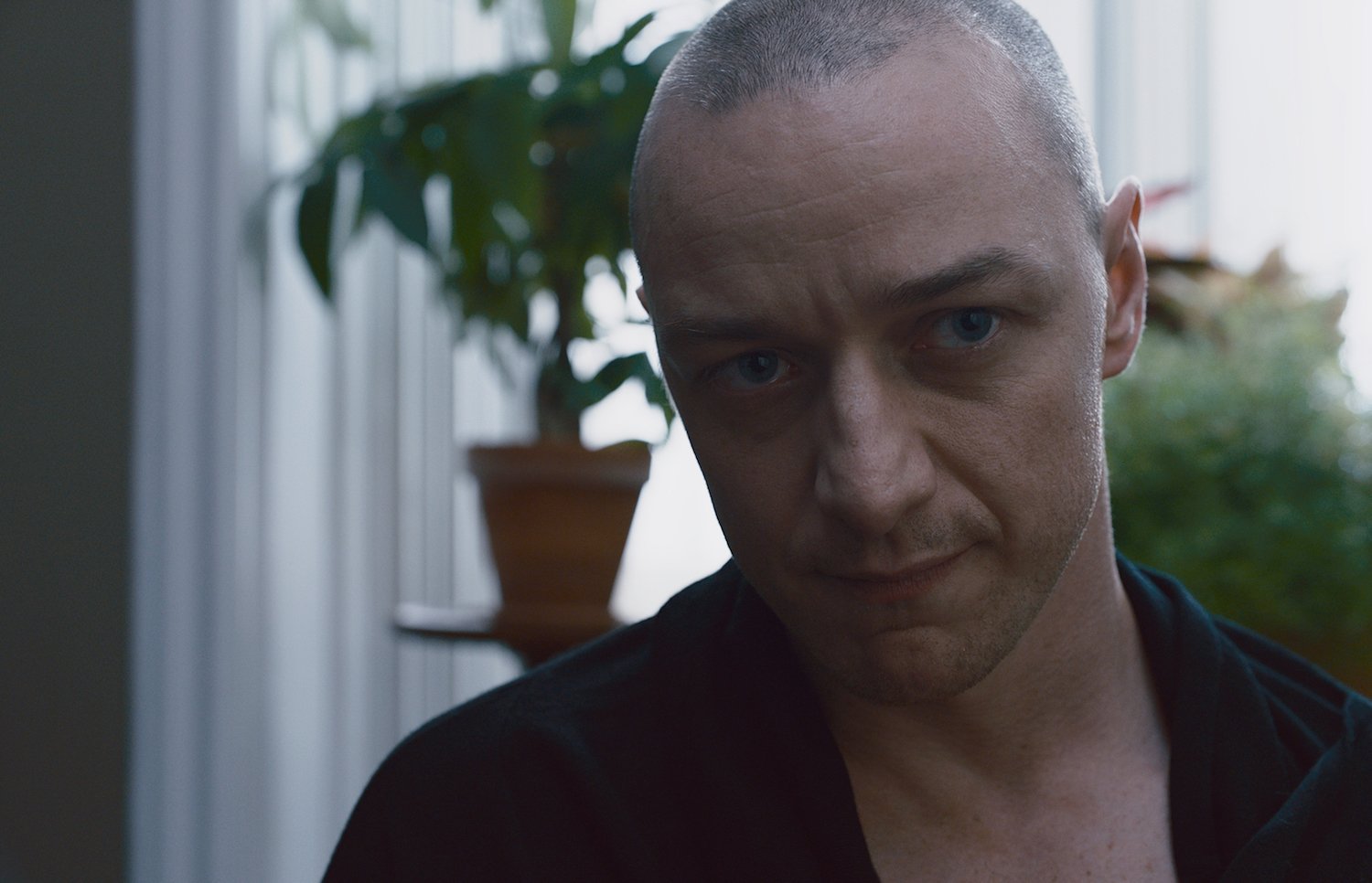 Are split film awards controversial? We look at the debate and what it means for movies!